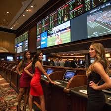 mplid platform live dealer studio with professional dealers